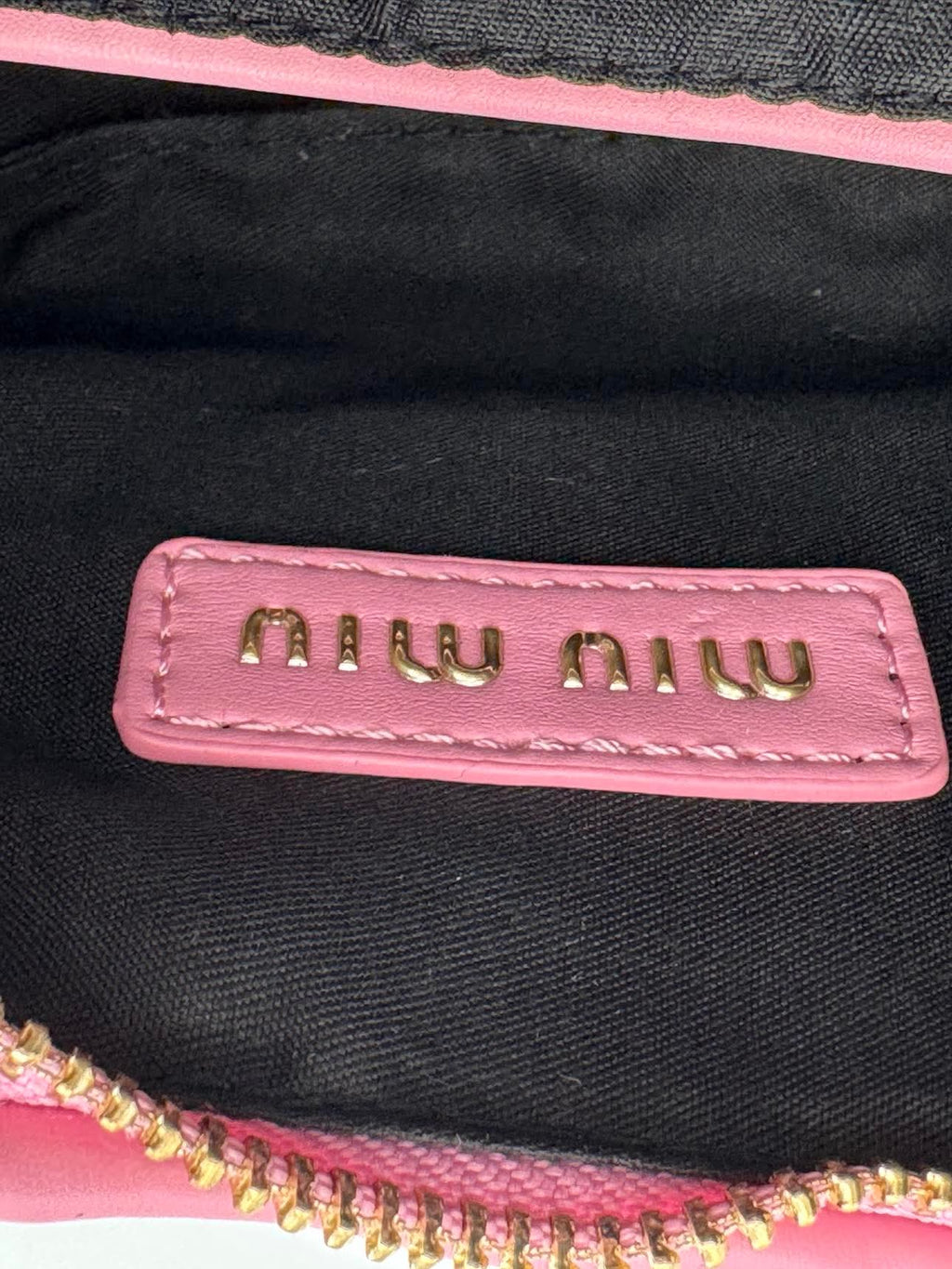 MM-Pink Wander -Studio 1